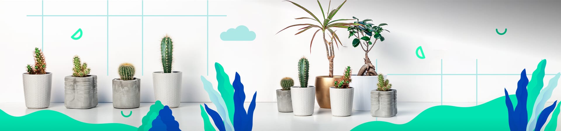 Meet The Shawnessy Dental Team SW Calgary Meet The Shawnessy Dental Team SW Calgary