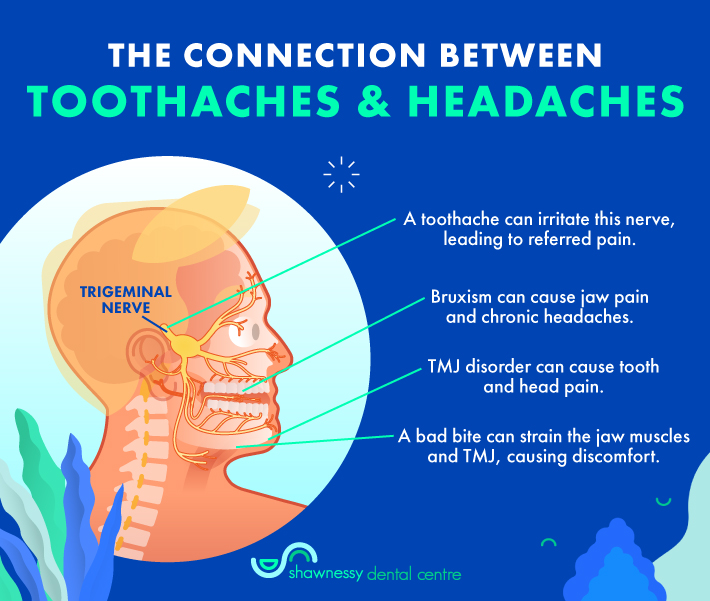 An infographic showing the position of the trigeminal nerve and the different types of toothaches based on their respective causes.